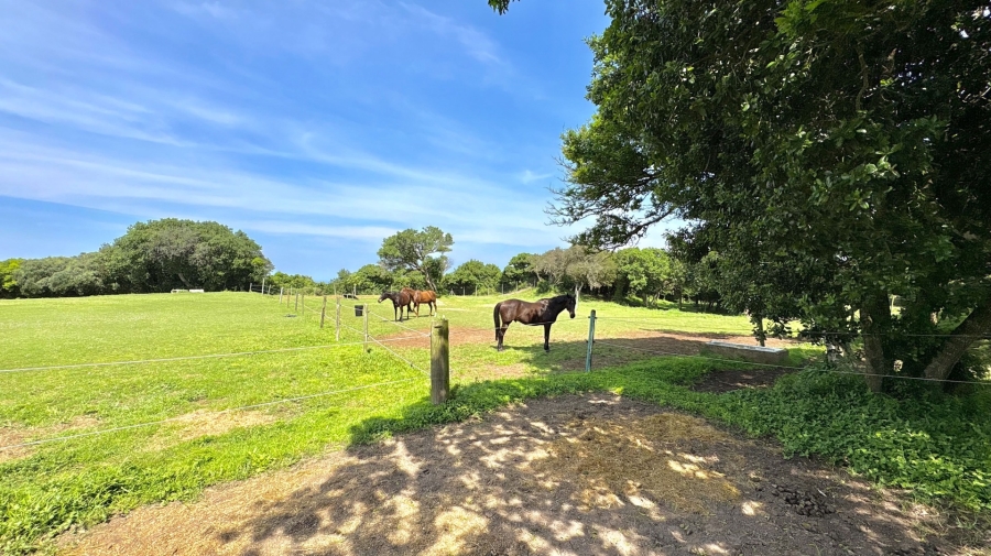 6 Bedroom Property for Sale in Lovemore Park Eastern Cape